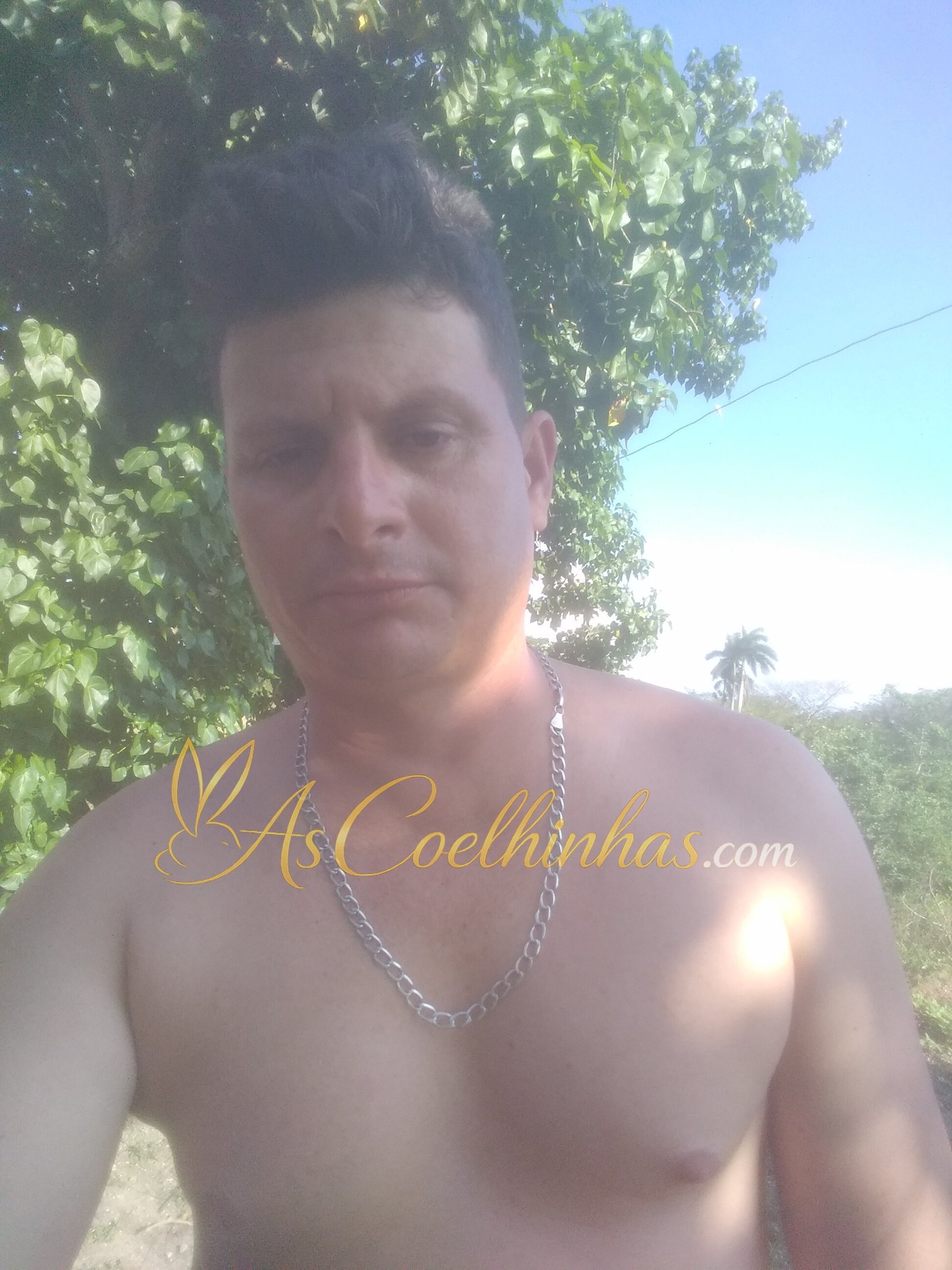 Ricardo